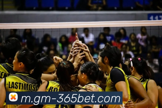 365bet平台生态图